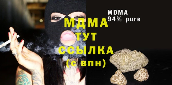 сатива Гусев