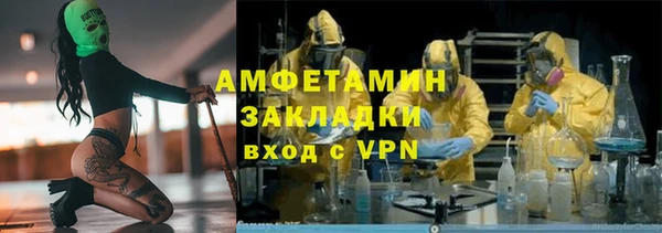 сатива Гусев