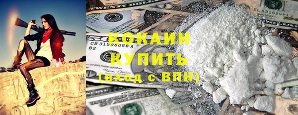 гидра Гусь-Хрустальный