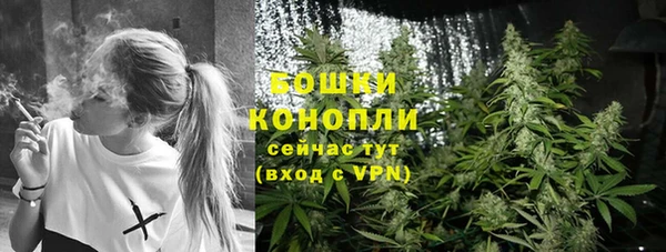 сатива Гусев