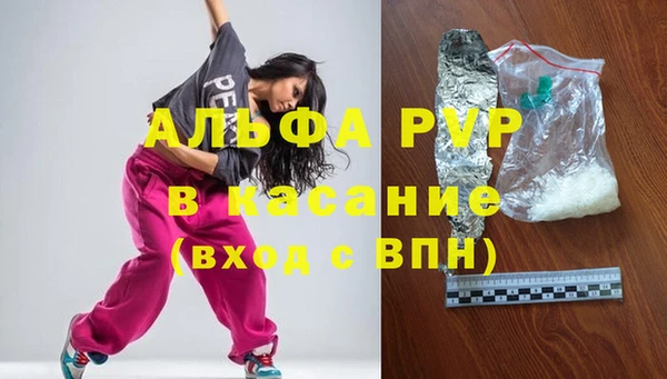 сатива Гусев
