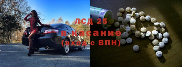 гидра Гусь-Хрустальный